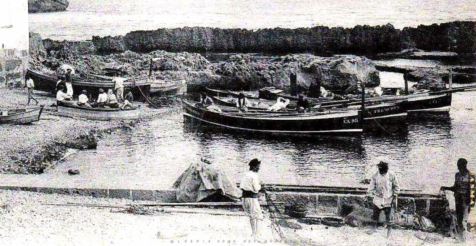 2494- Tipaza - Douane et Port2 - 1911.jpg